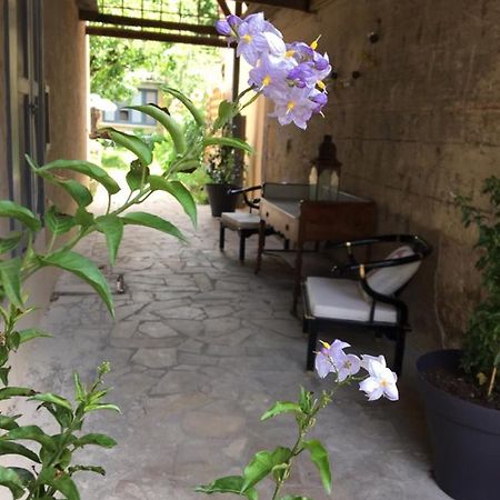 Un Jardin En Ville Sarlat-la-Canéda Eksteriør billede